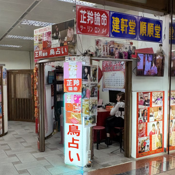【龍山寺】芷羚論命