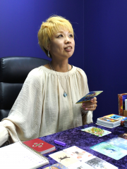 蝶龍先生